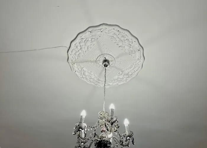 Chill Ferdinand * Κλουζ-Ναπόκα